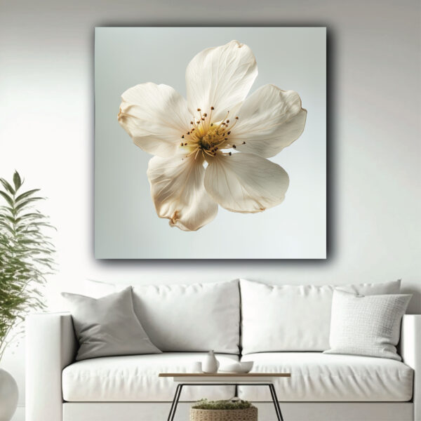 White Flower
