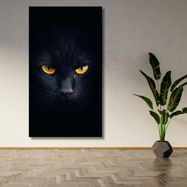 Cat Eyes