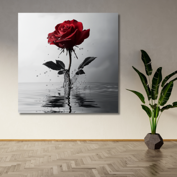 Rose in the water