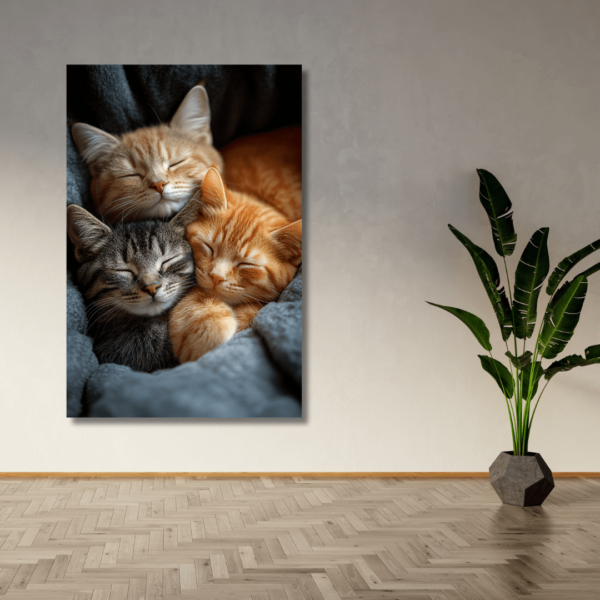 Fluffy cats