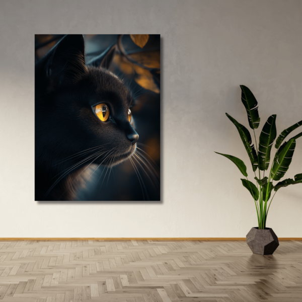 Cat Eye
